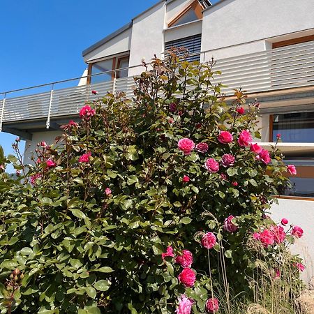 Ferienwohnungen Im Rosengarten Bodman-Ludwigshafen Exteriör bild