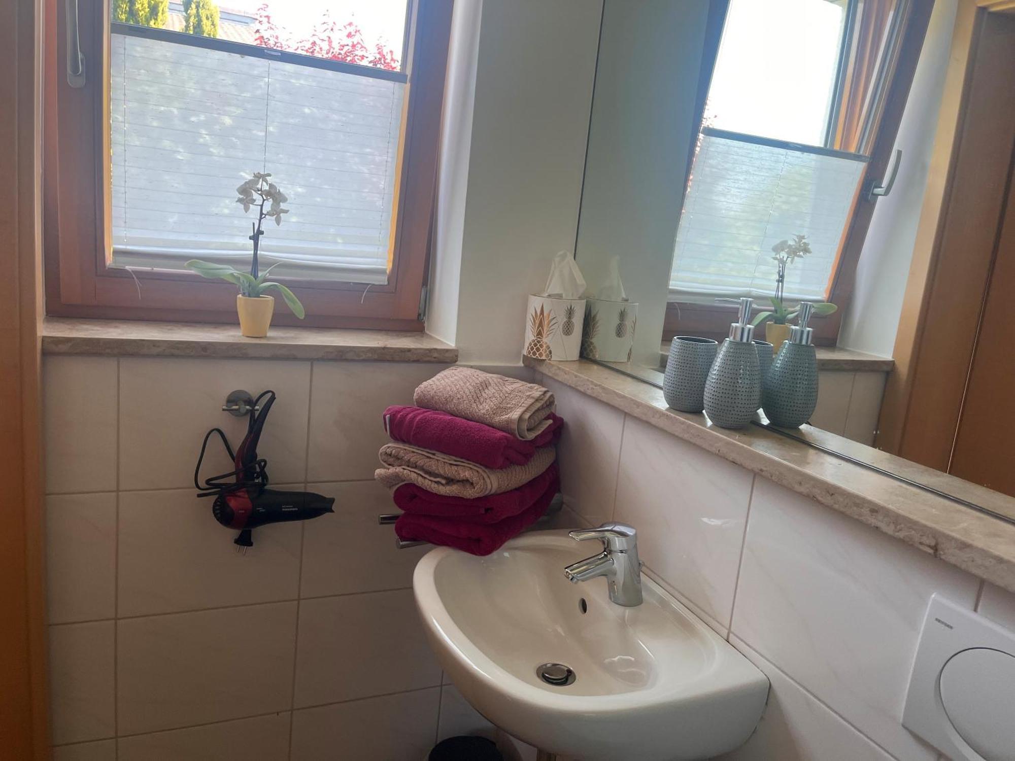 Ferienwohnungen Im Rosengarten Bodman-Ludwigshafen Exteriör bild
