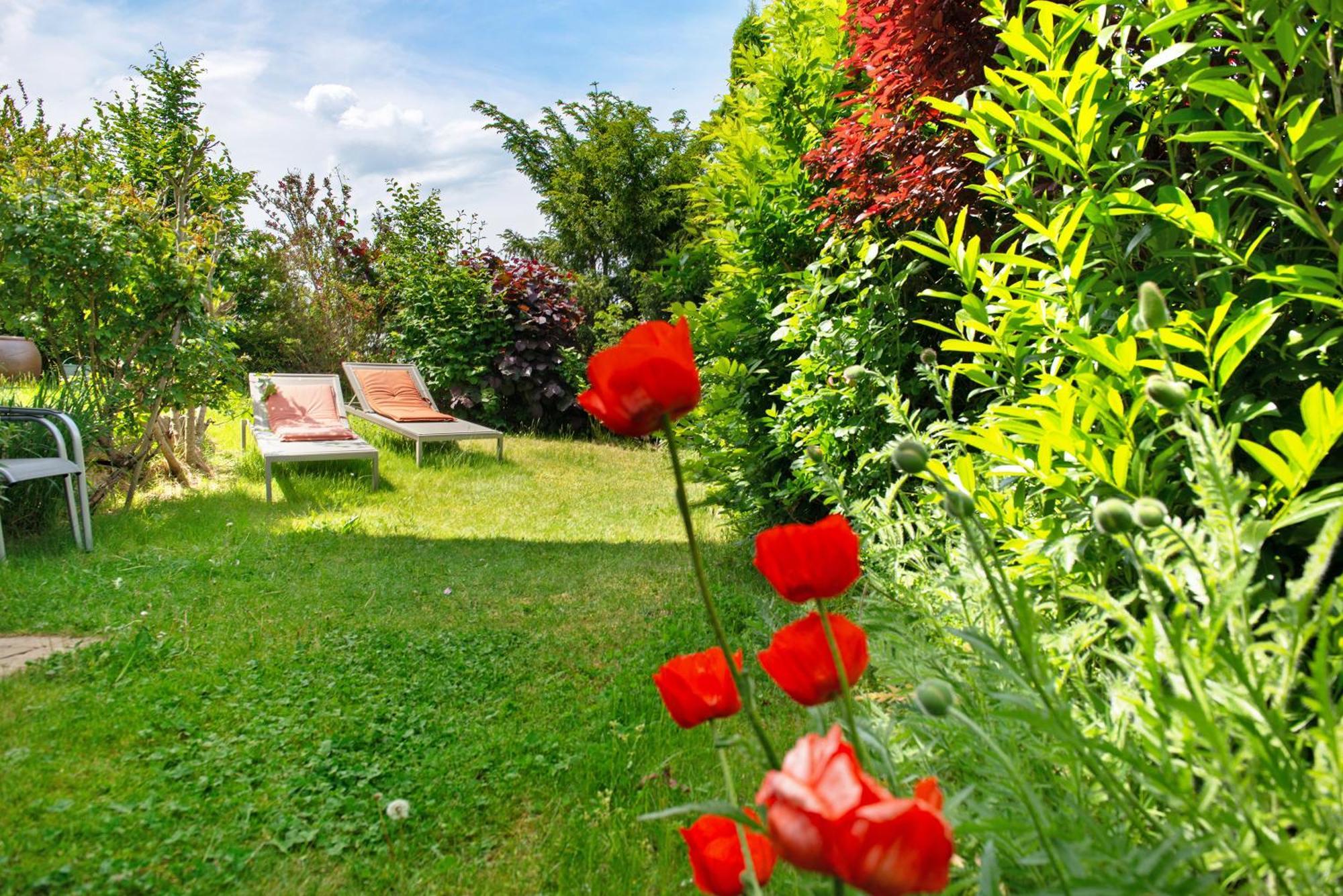 Ferienwohnungen Im Rosengarten Bodman-Ludwigshafen Exteriör bild